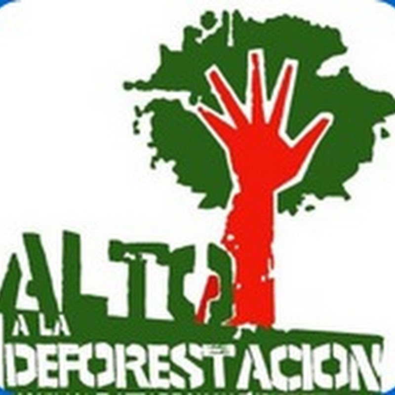 Día Internacional de la Preservación de los Bosques