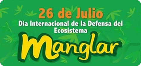 ecosistema manglar