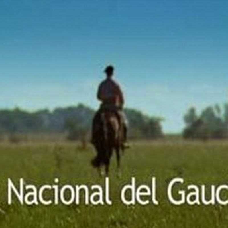 Día Nacional del Gaucho