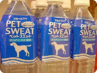 pet-sweat