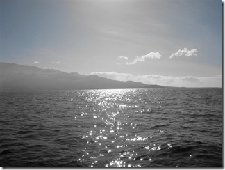 Maui Snorkeling_02 (1) (Medium)