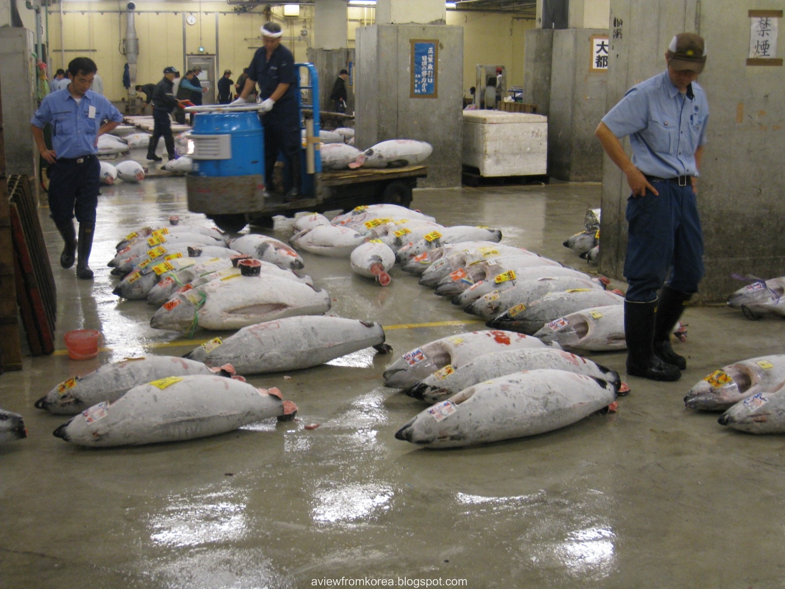 [Tsukiji Fish Market_05 [1600x1200][2].jpg]