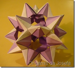 Origami 161