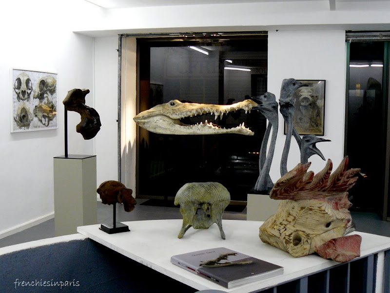 Menagerie en galerie