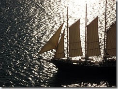 sail ahoy