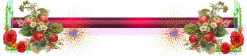 Bar12.gif