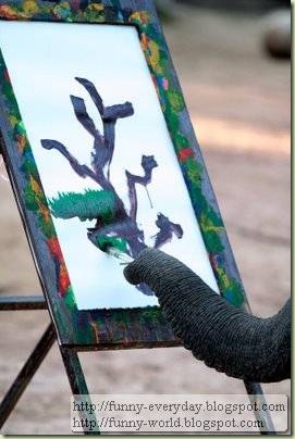 Elephants creativity paintings (2)