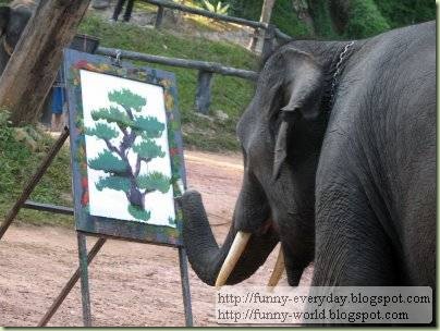 Elephants creativity paintings (4)
