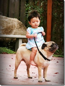Babies-Riding-Dogs-6