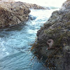 Crescent Bay Beach