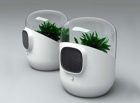 Como utilizar plantas para absorber contaminantes del aire. - Urbanarbolismo
