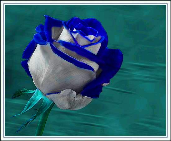 003u052M32_.jpg