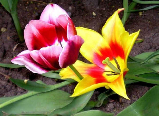 a_160508001006.jpg