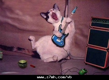 [cat9[2].jpg]