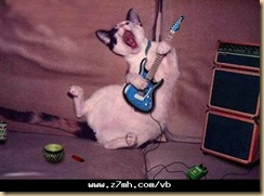 cat9 cat9