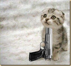 cat10
