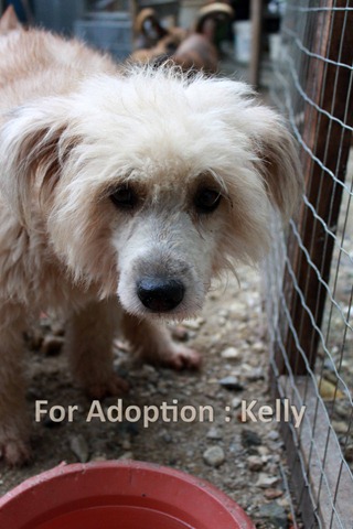 [Kelly[4].jpg]