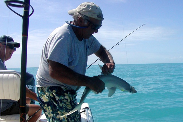 [SSK10Week130752.jpg]