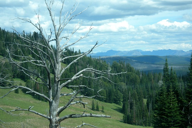 [WestTripWeek34242.jpg]