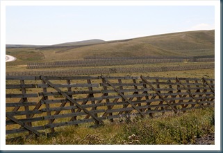 WestTrip,Week1 043