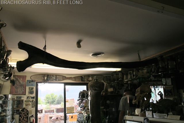 [WestTripWeek575018.jpg]