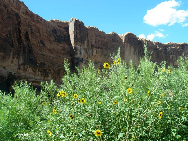 [WestTripWeek50862.jpg]