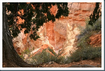 WestTrip,Week6 222