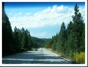 WestTrip,Week7 462