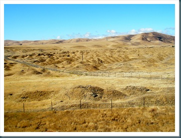 WestTrip,Week7 658