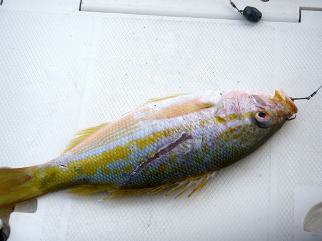 [SSK10Week20122.jpg]