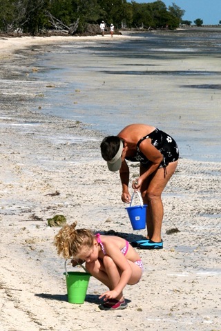 [IMG_95432.jpg]