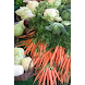 Food Remedies - Facts About F