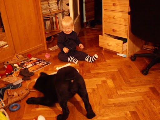 P2038966.JPG