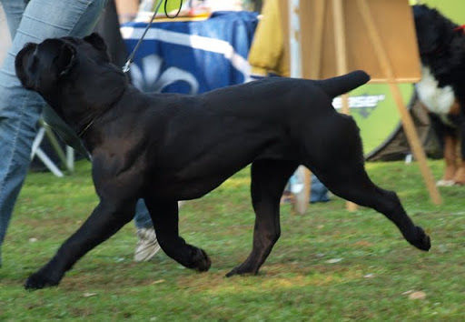 aPA096601.jpg