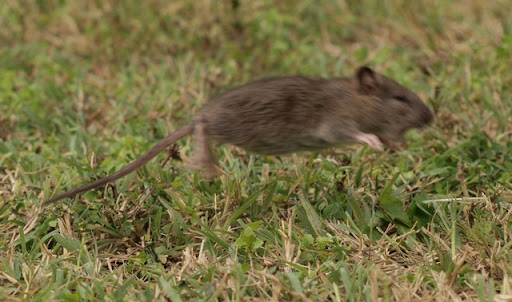 PA106789.JPG