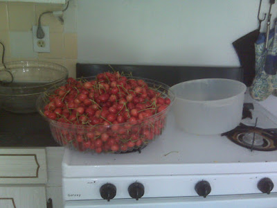 gathered cherries
