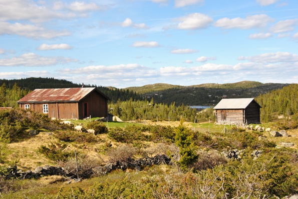 Blåfjell 060 Blåfjell 060