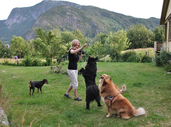 lapphunder 055 lapphunder 055