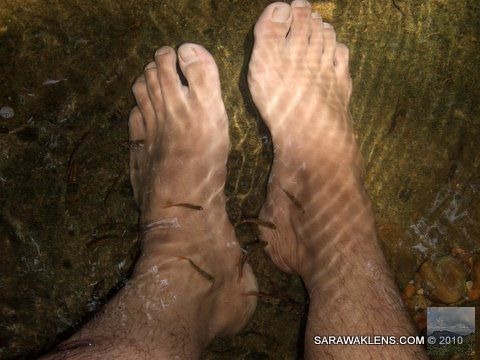 feet_in_water_natural_fish_foot_spa