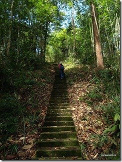 Gunung_Jagoi_Steps