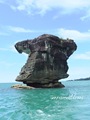 Pulau_Lakei_Bako_National_Park_42