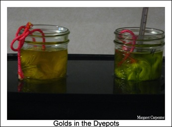 Golds in the dyepot