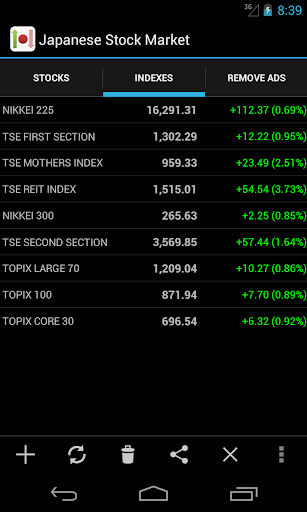 Japanese Stock Market