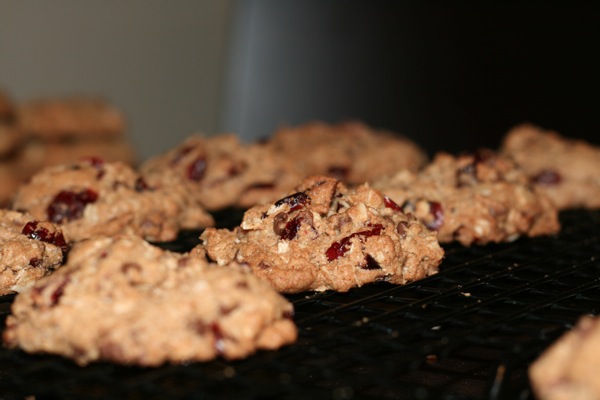 Chocolate cranberry oatmeal spice cookies