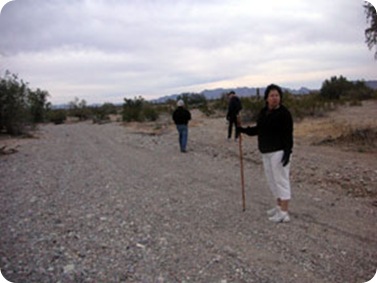 desert-group-walking