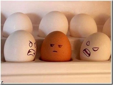 Racist eggs2