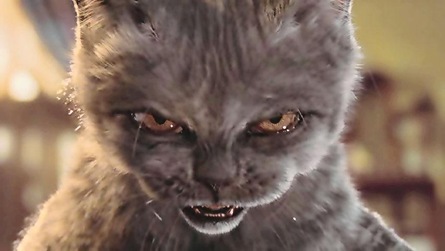 [Angry cat[3].jpg]