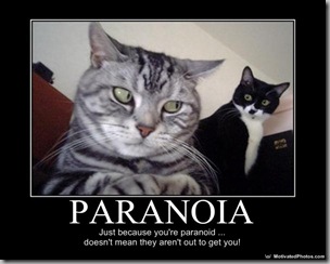 Paranoid cats