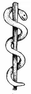 [Rod of Asclepius[4].jpg]