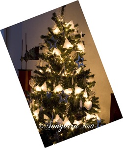 [Christmas-tree-14.jpg]